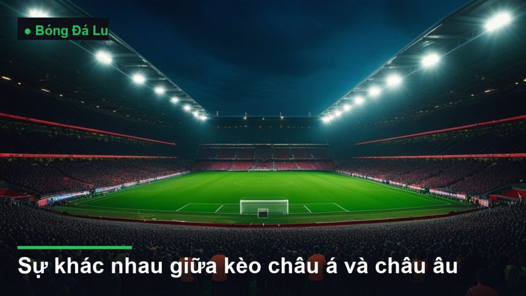 sân vận động bóng đá về đêm dưới ánh đèn pha - sự khác nhau giữa kèo châu á và châu âu